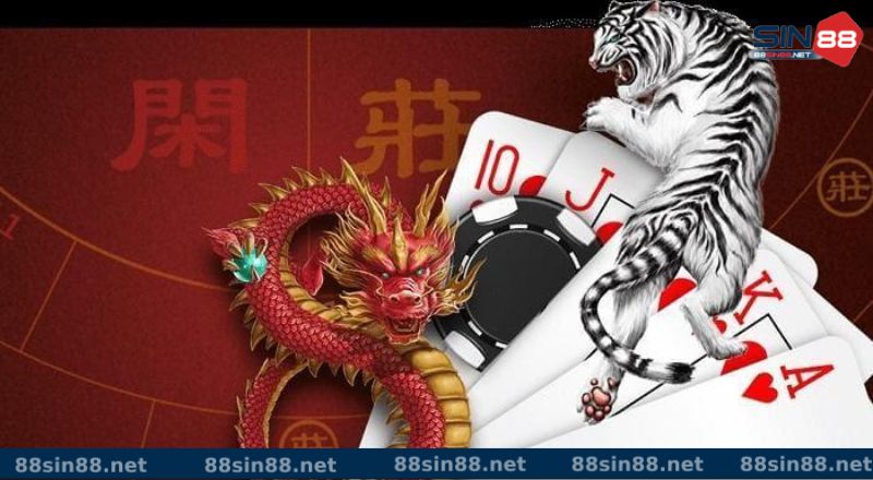 Vì sao nên cá cược rồng hổ sin88 Vì sao nên cá cược rồng hổ sin88