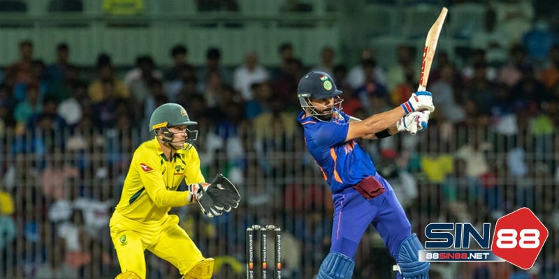 Bí quyết chơi cá cược Cricket chắc thắng từ cao thủ Bí quyết chơi cá cược Cricket chắc thắng từ cao thủ